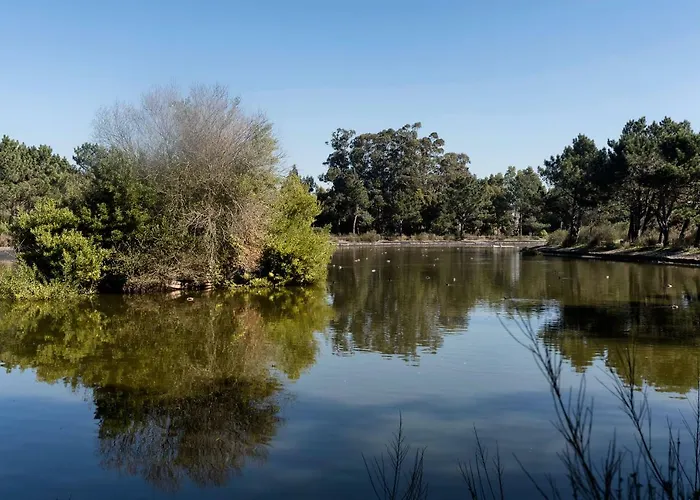 Séjour chez l'habitant The Sea House