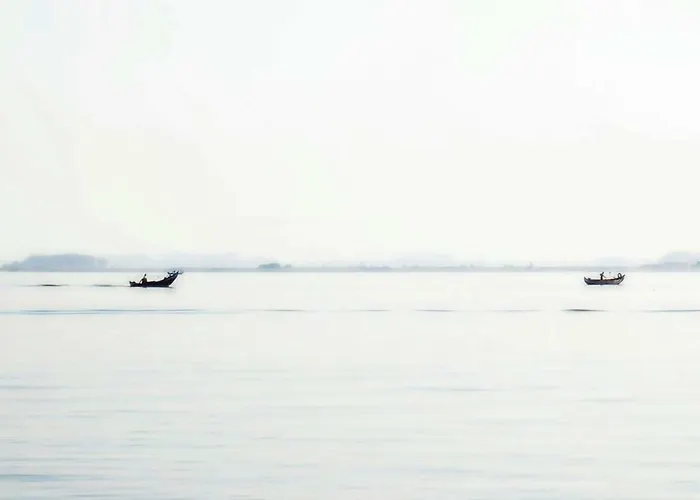 Séjour chez l'habitant The Sea House Cortegaça